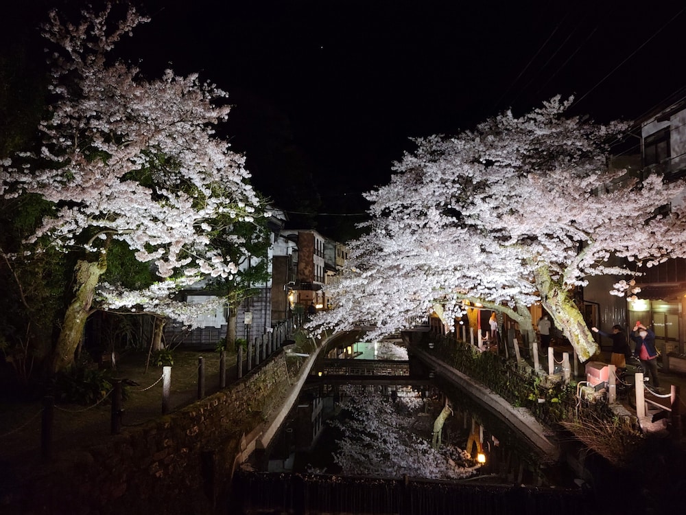 Tsukimotoya Ryokan 43/50