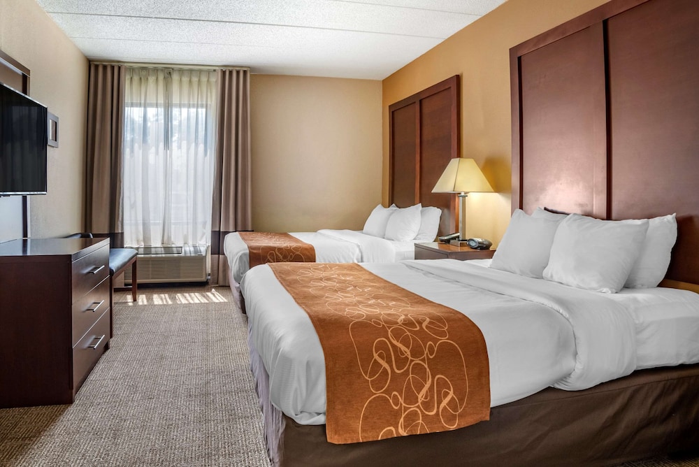 Comfort Suites Hagerstown Southeast 11/39