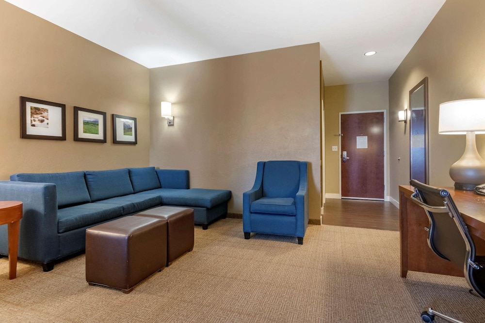 Comfort Suites Airport-University 17/33