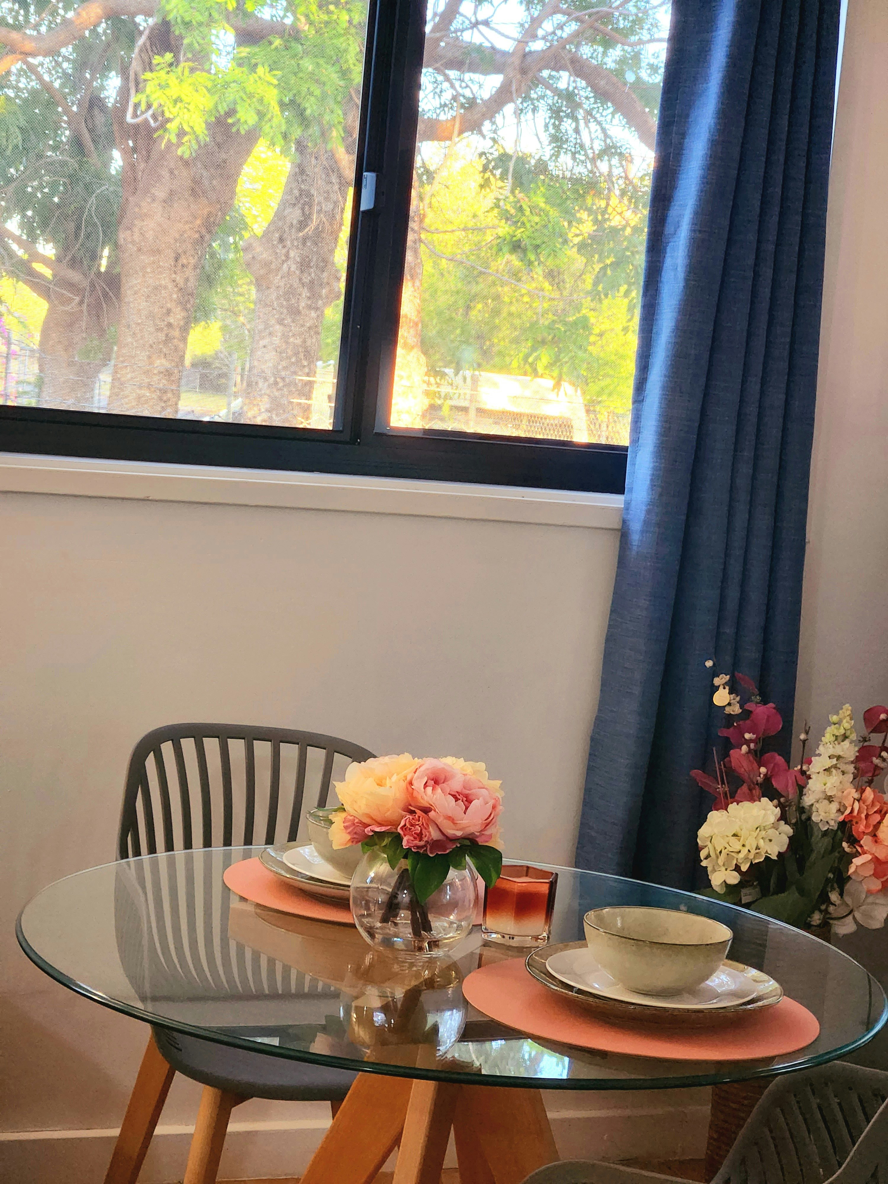 Palm Court Budget Motel Backpackers 38/43