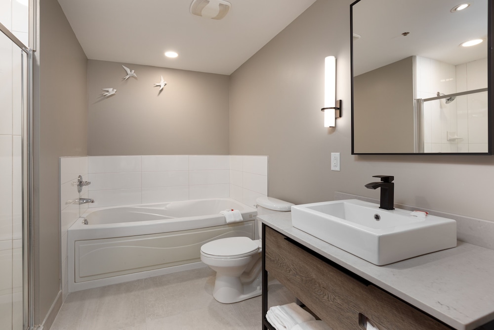 Sommet Des Neiges 48/50
