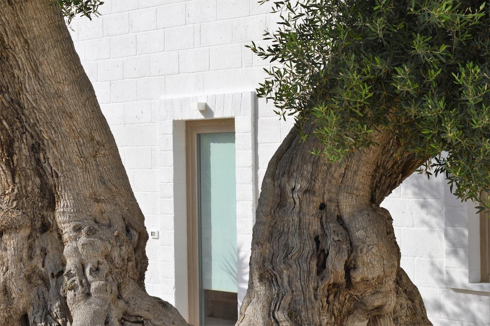Masseria Torrepietra 48/50