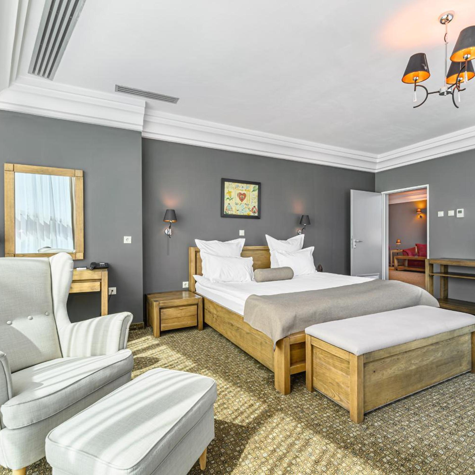جناح رئاسي بانورامي بإطلالة على النهر، Vega Hotel 4/10