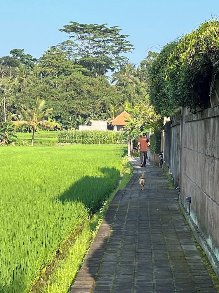 Uma Padi Villa 72/75