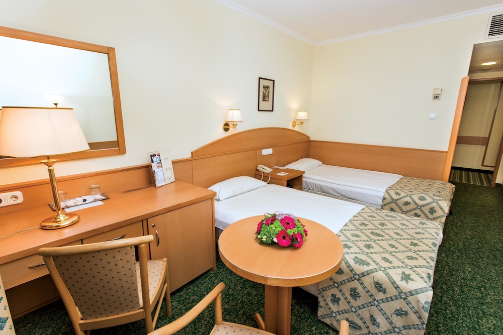 Hotel Erzsebet City Center 44/57