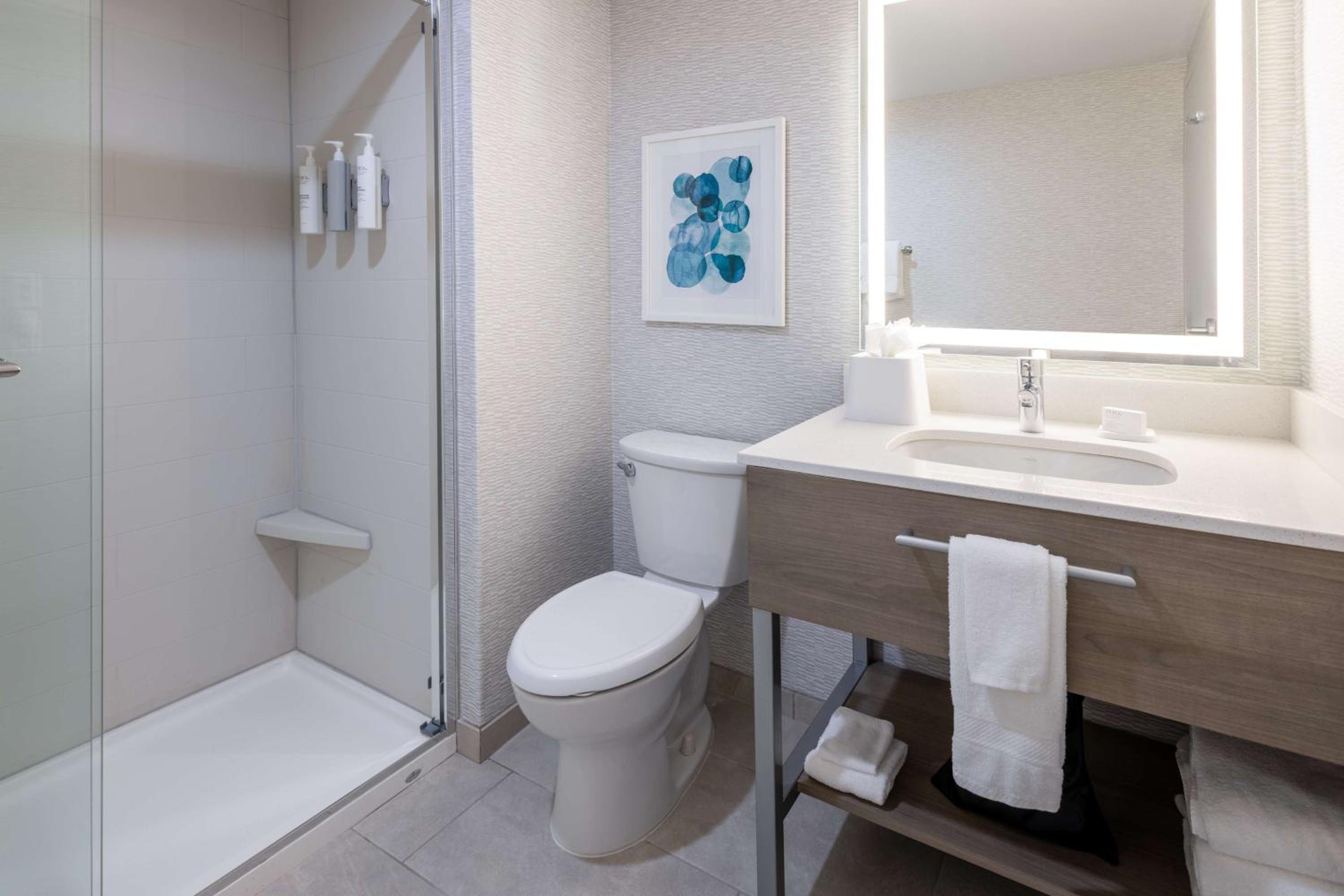 جناح بسرير كينج بغرفة نوم واحدة مع أريكة بمطبخ، Hampton Inn & Suites Venice Bayside South Sarasota 7/9