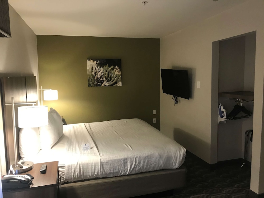 Best Western North Phoenix Hotel 24/76