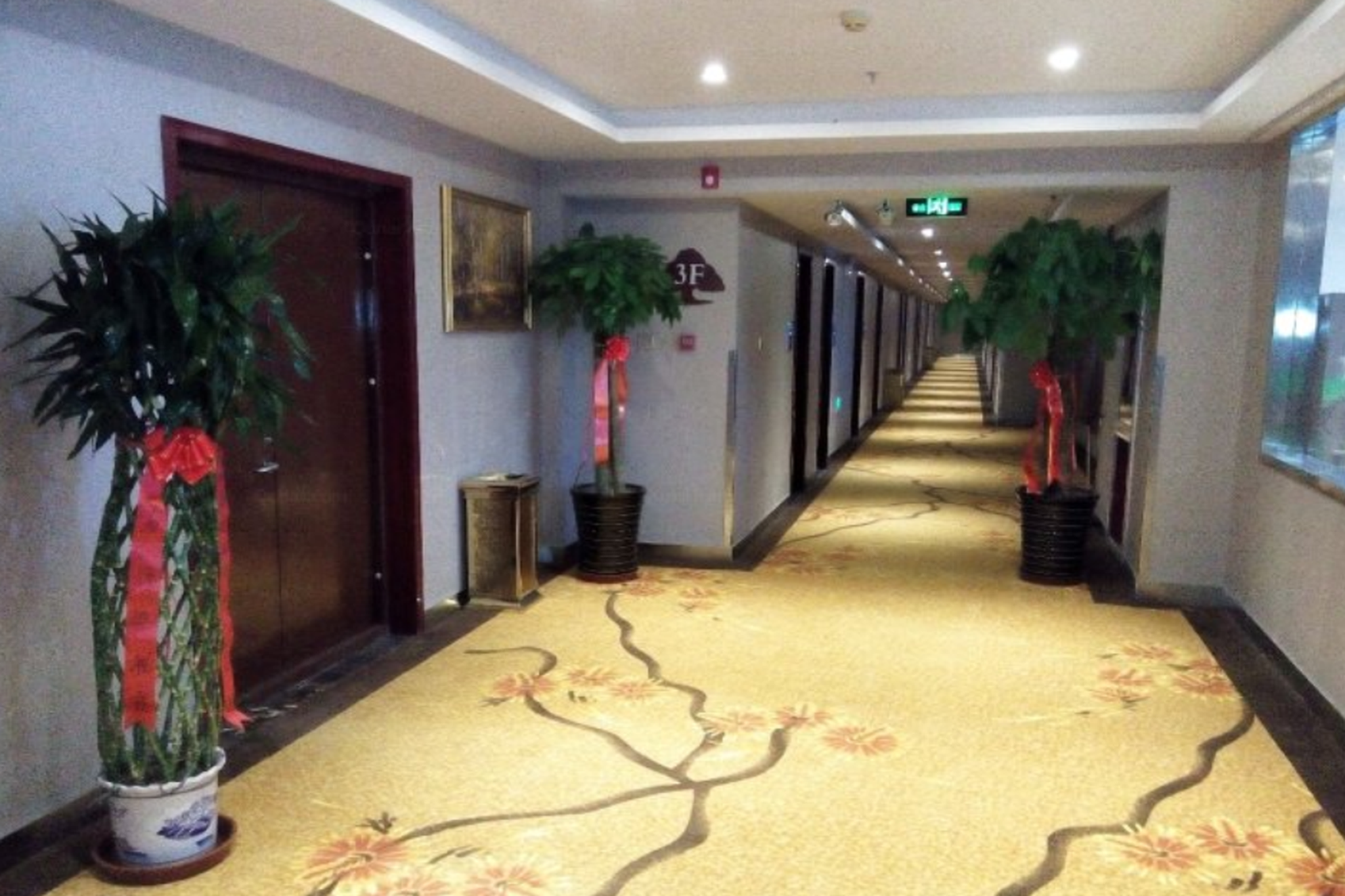 GreenTree Inn Geermu Walking Street Business Hotel 15/51