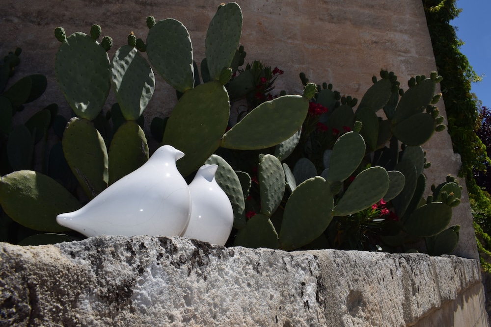 Masseria Santa Lucia 15/43