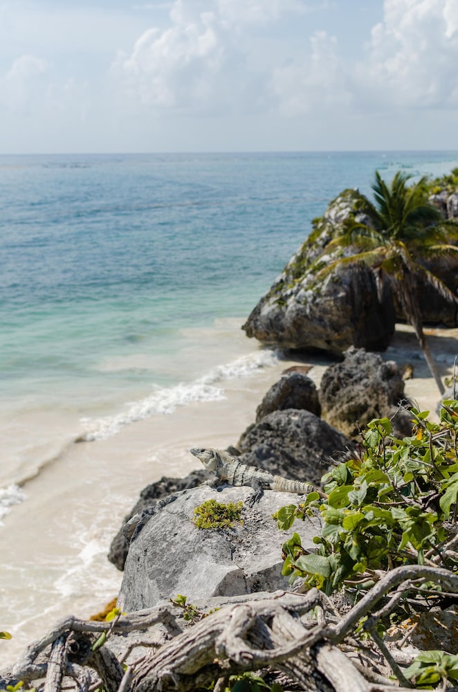 Encantada Tulum 44/50