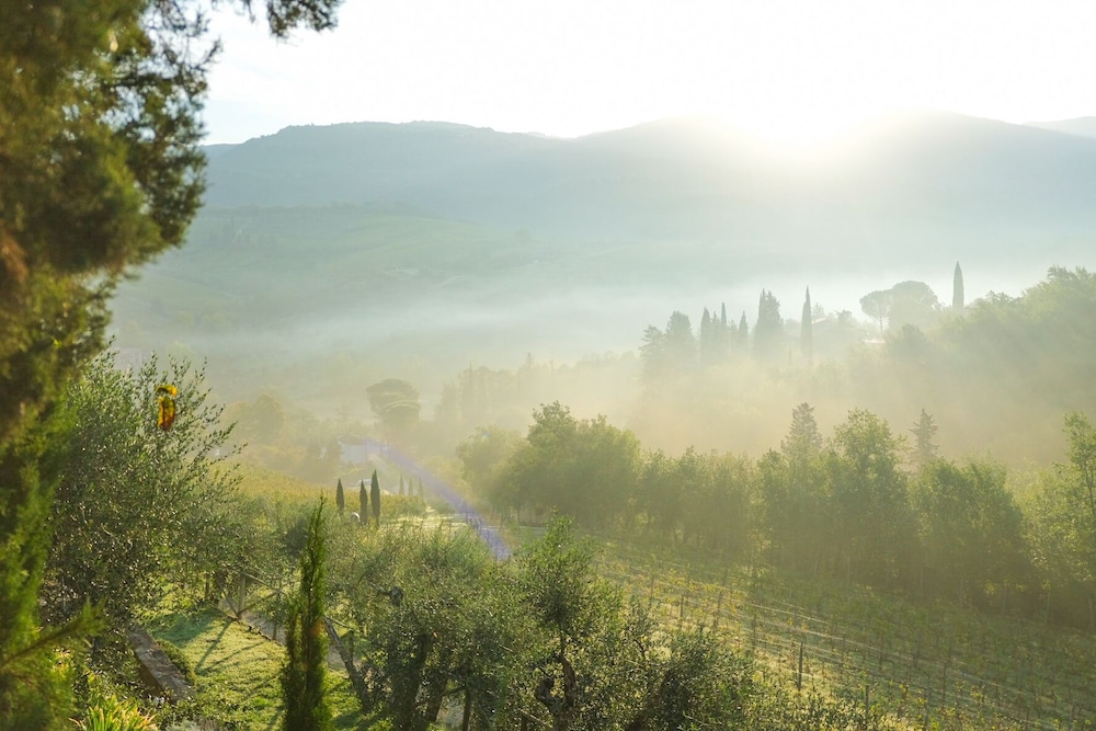 Terre Di Baccio 42/45