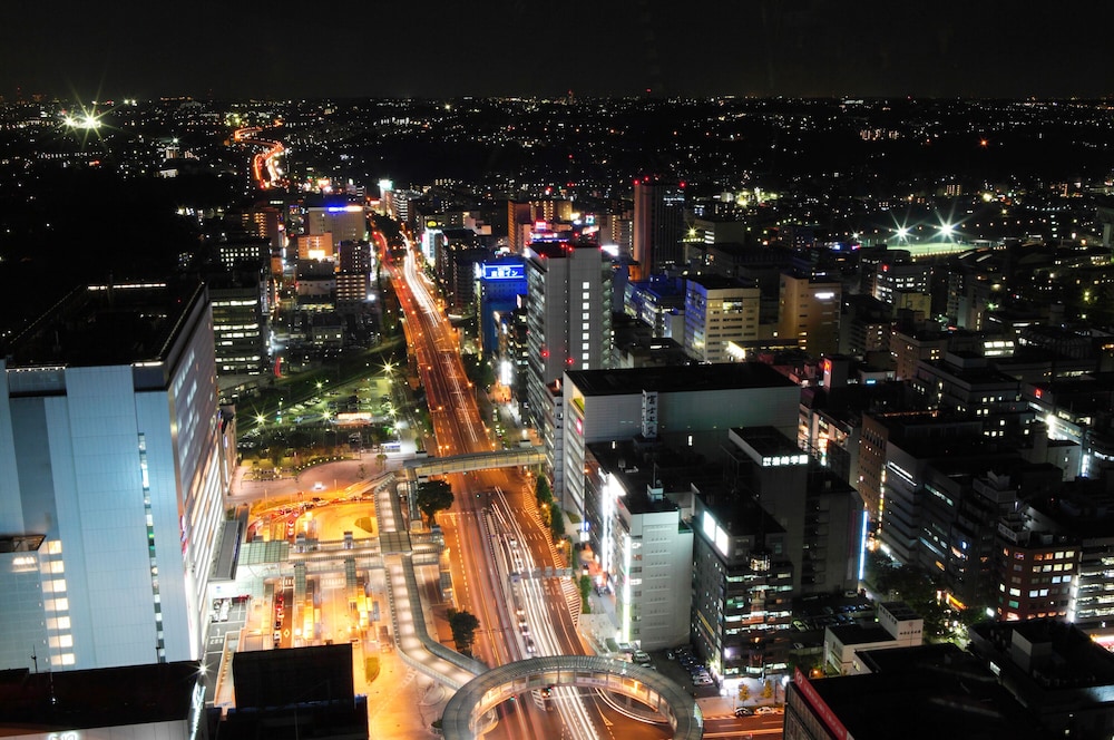 Shin Yokohama Prince Hotel 43/54