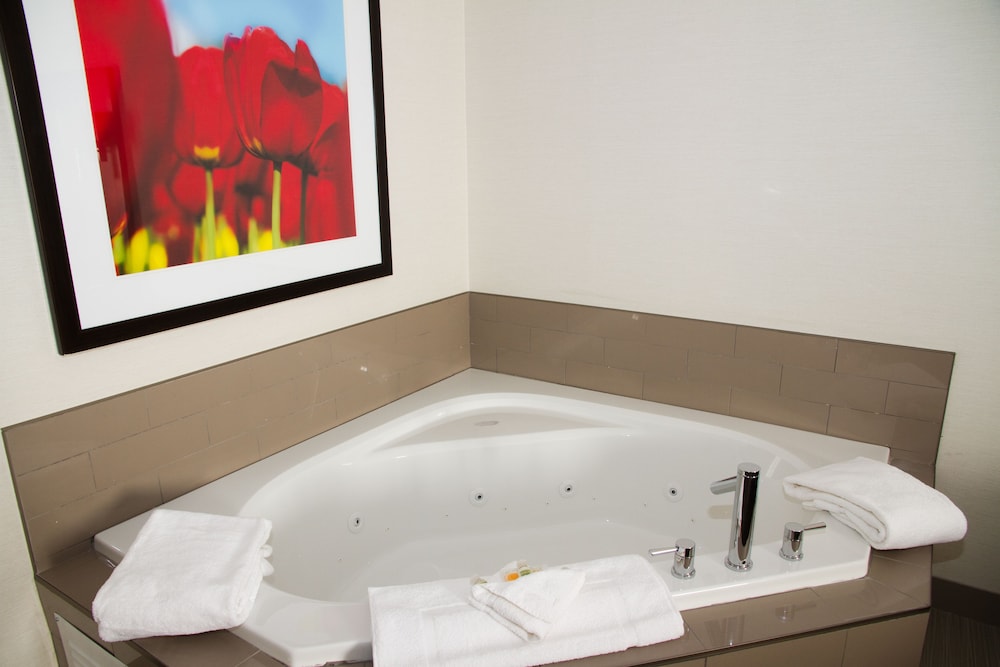 Holiday Inn Red Deer South 29/76