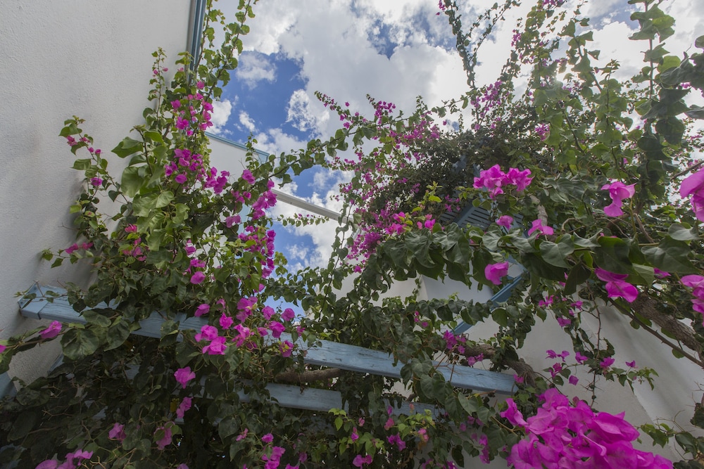 Preka Maria Hotel 34/39