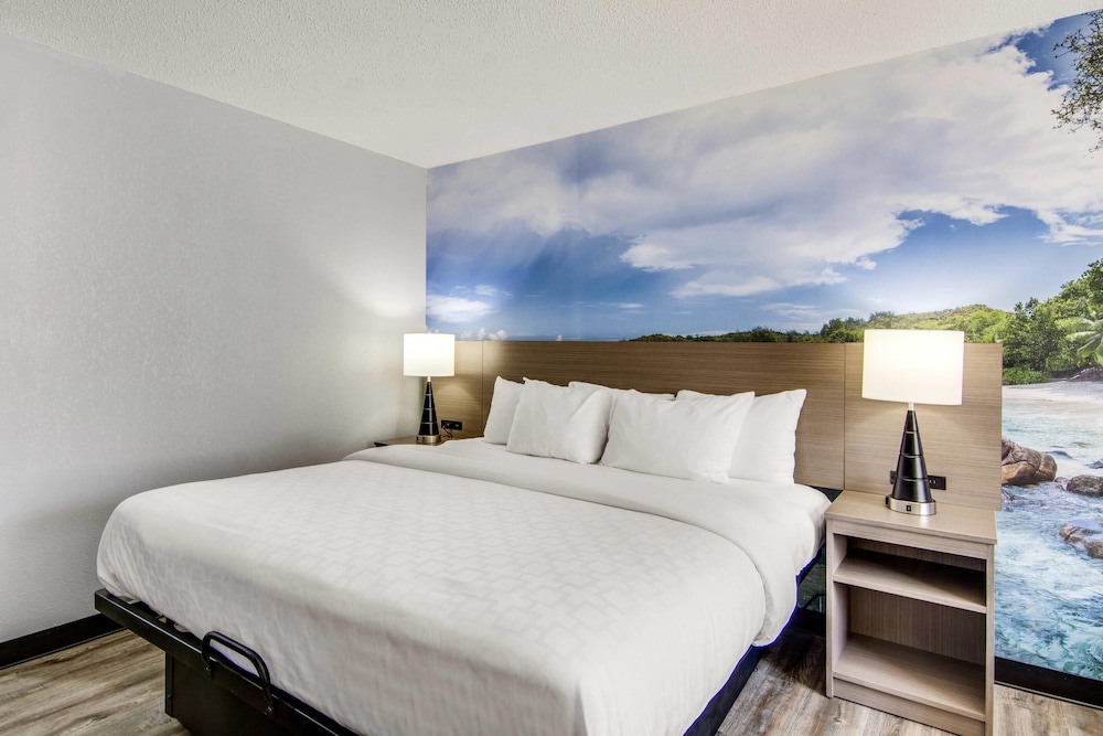 Room, King Bed, Accessible