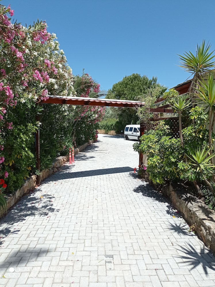 Alexandros Studios 27/40