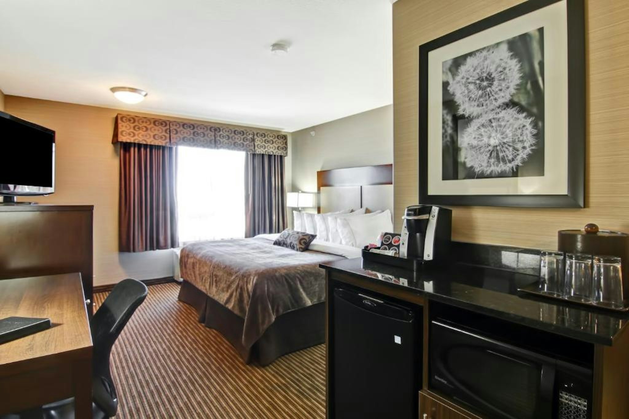 Canalta Hotel Assiniboia 17/35