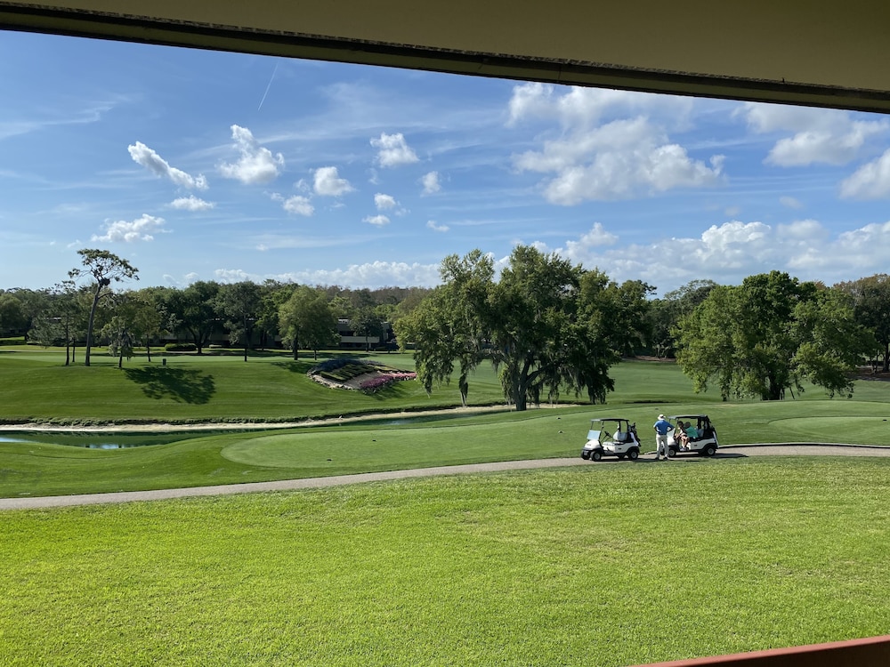 Innisbrook Resort 33/72