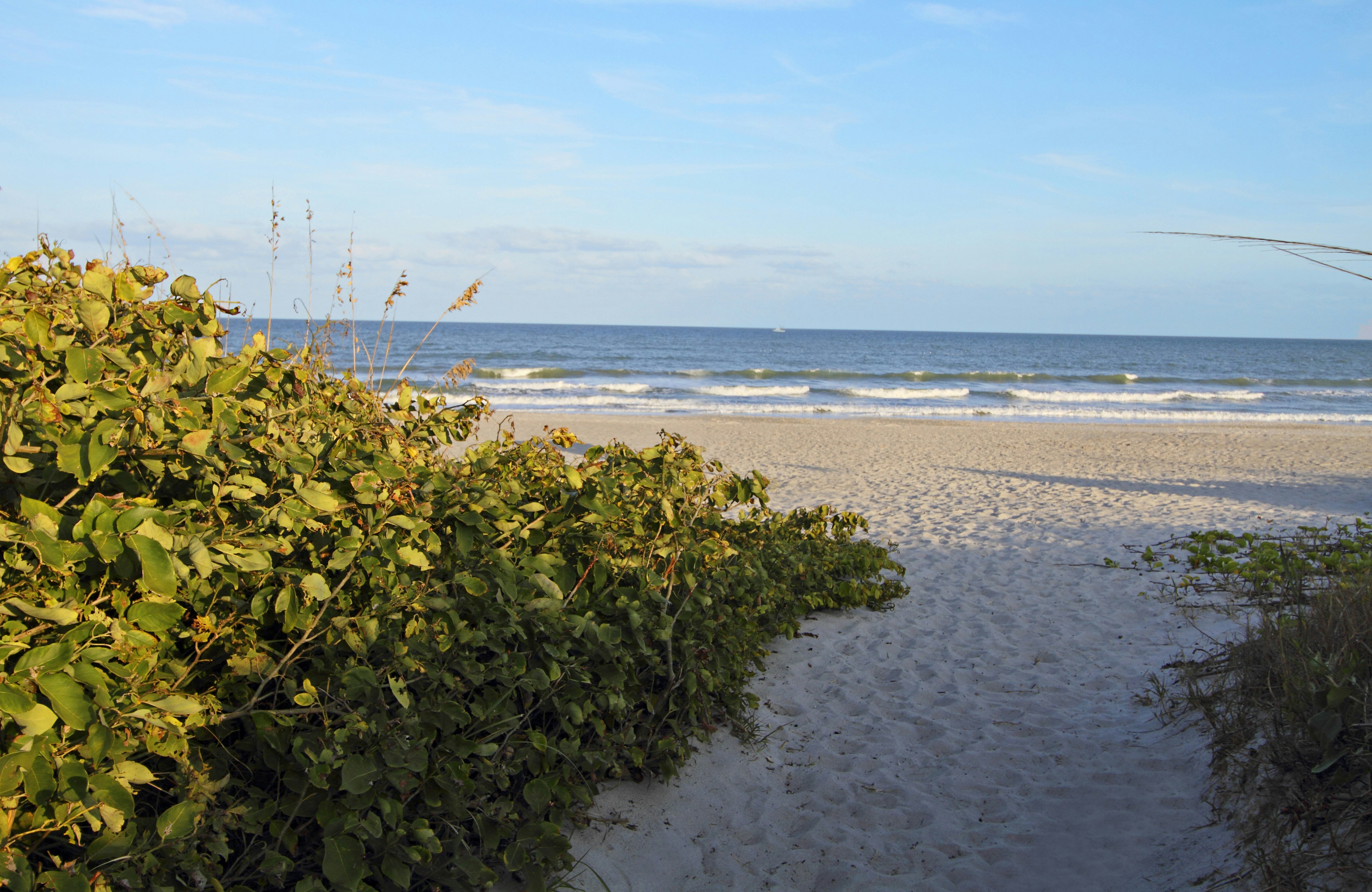 Hampton Inn Cocoa Beach/Cape Canaveral 35/41