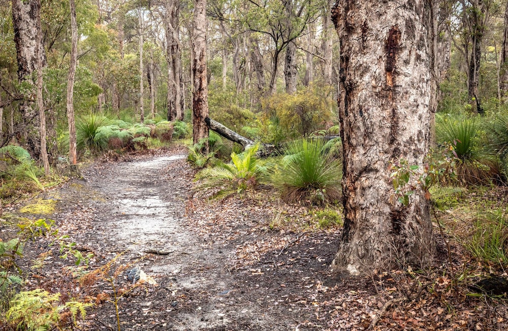 BUSSELLS BUSHLAND COTTAGES 28/47