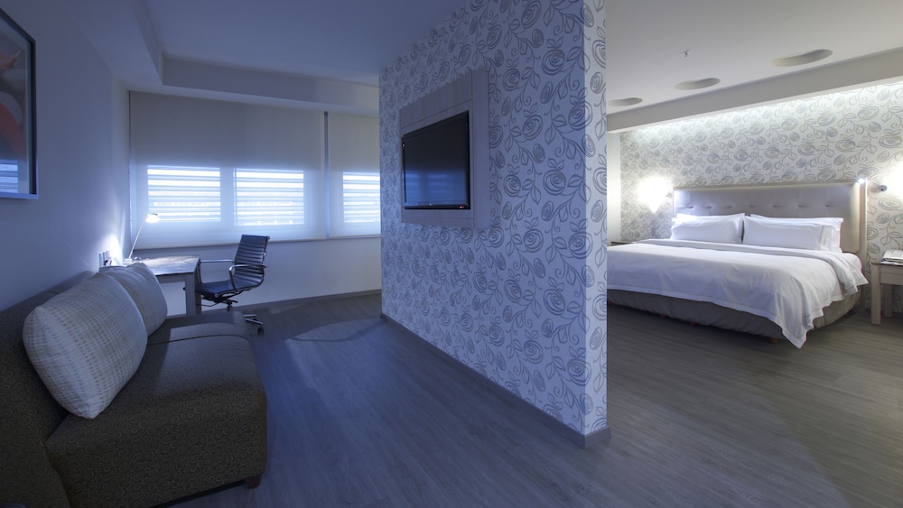 HOLIDAY INN EXPRESS MEXICO - TOREO 12/58