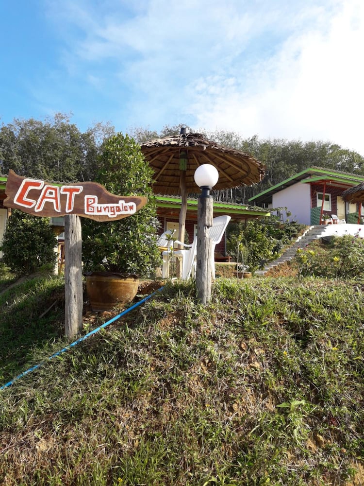 Cat Bungalow 54/66