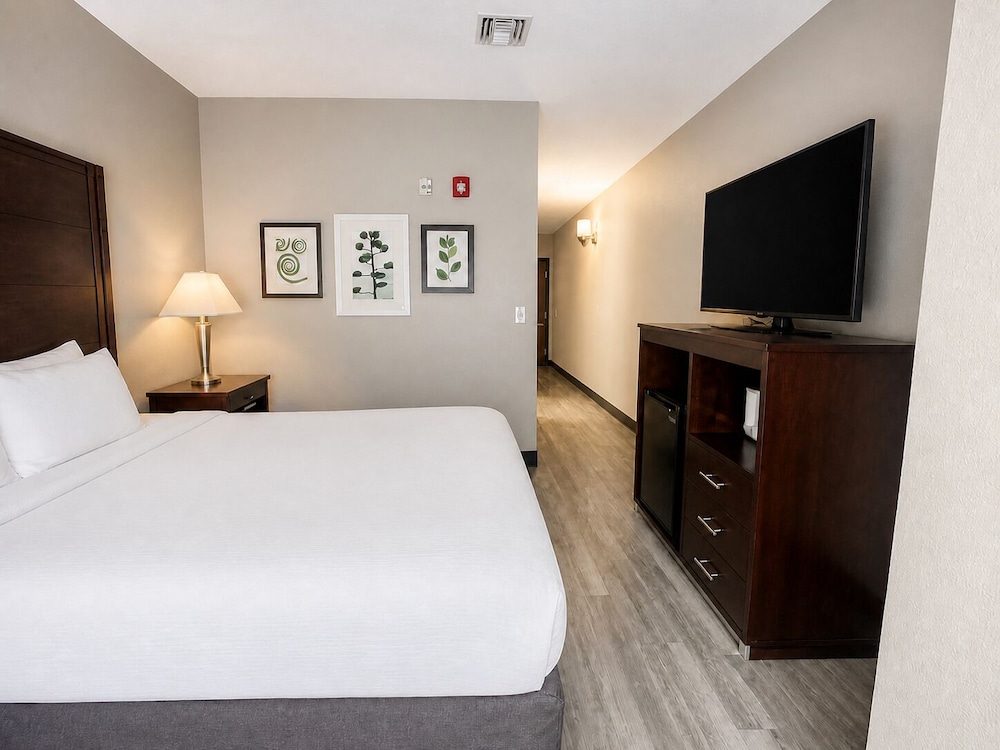 Suite, Queen Bed, Accessible