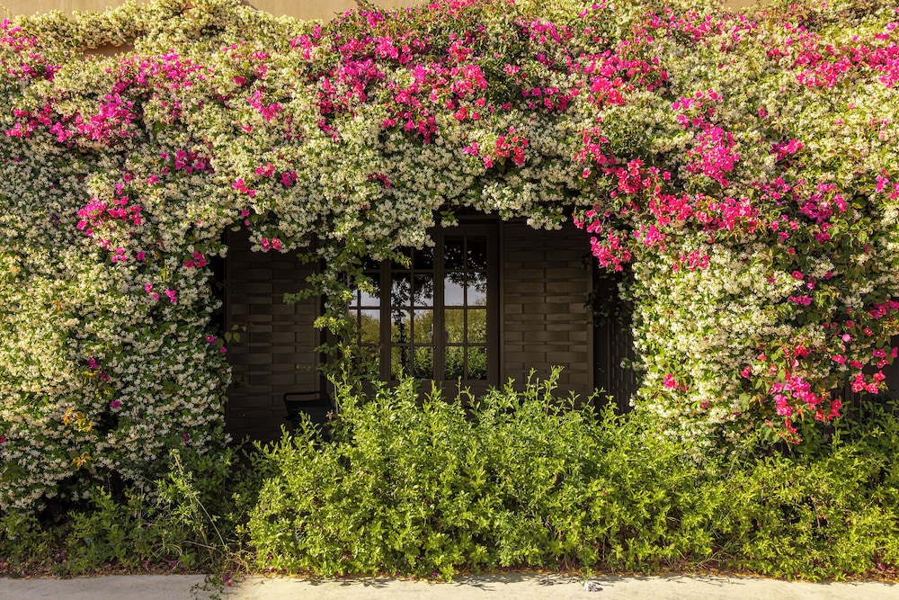 Country House Villadorata 29/50