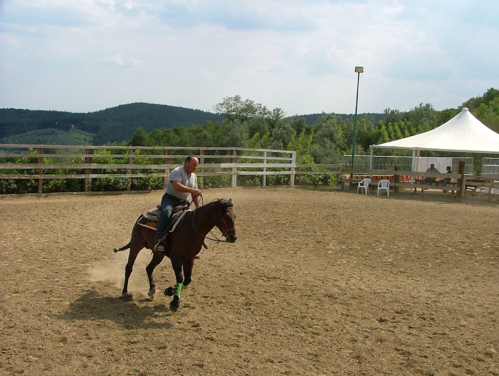 sport_facililities