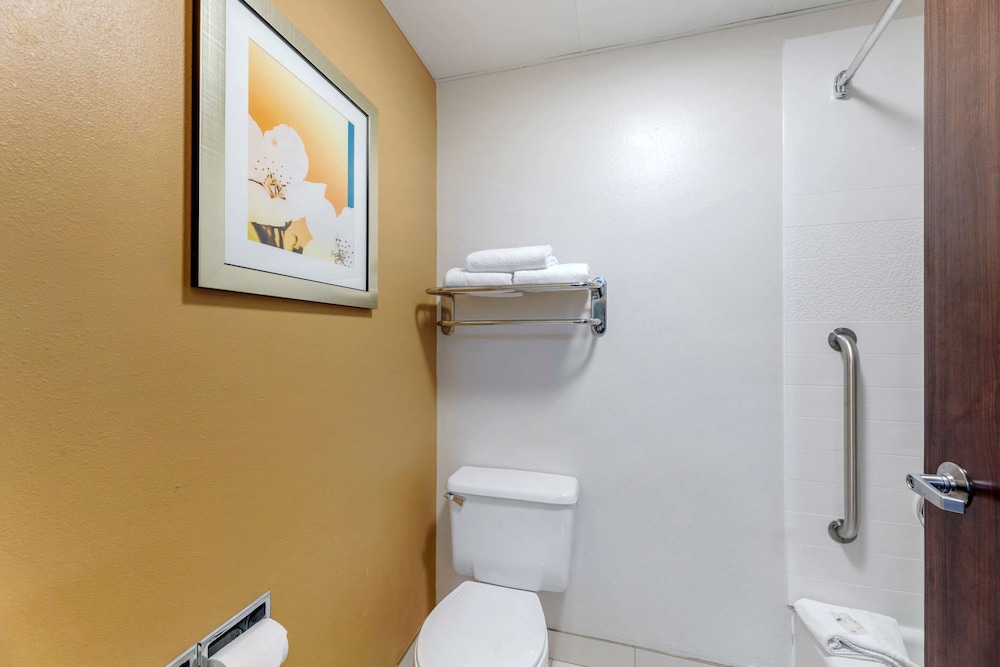 Quality Inn and Suites Sandusky 14/40