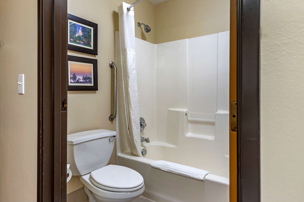 Comfort Inn Suites Dimondale Lansing 19/35