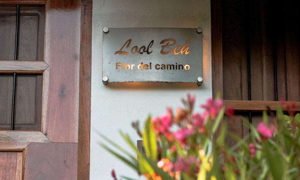 Hotel Boutique Cenote San Ignacio 10/50