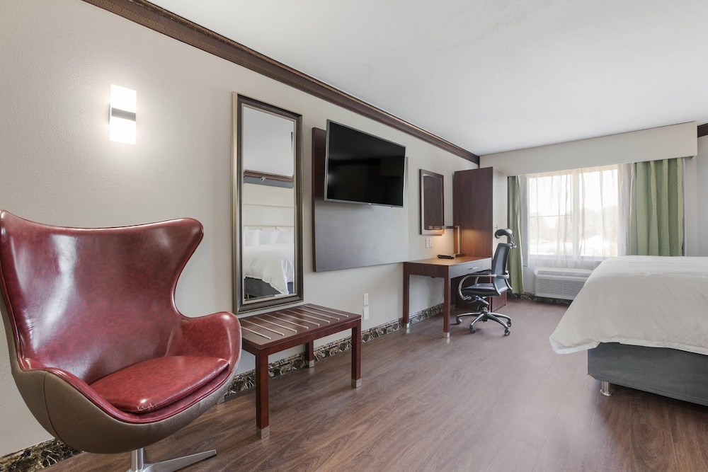 جناح بسرير كينج، The Leo Collection Detroit, an Ascend Collection Hotel 7/10