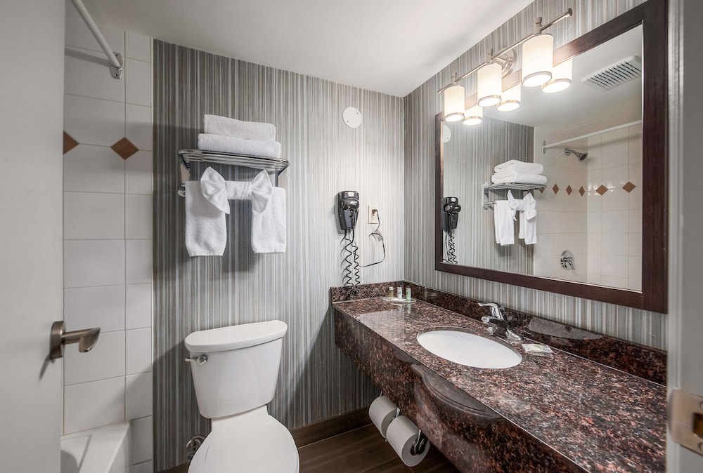 Coast Calgary Downtown Hotel and Suites by APA 14/61