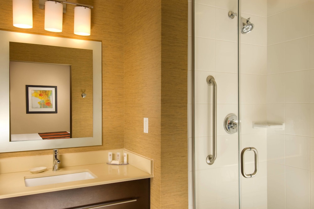 TownePlace Suites by Marriott San Antonio Downtown Riverwalk 13/35
