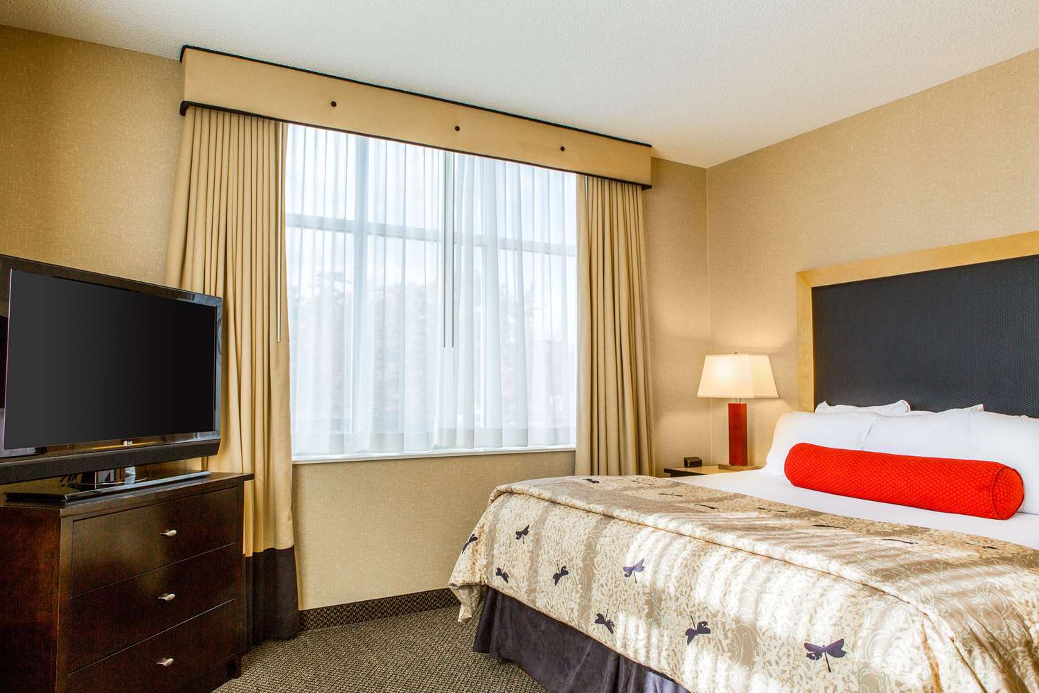 Upgrade, Suite, King Bed