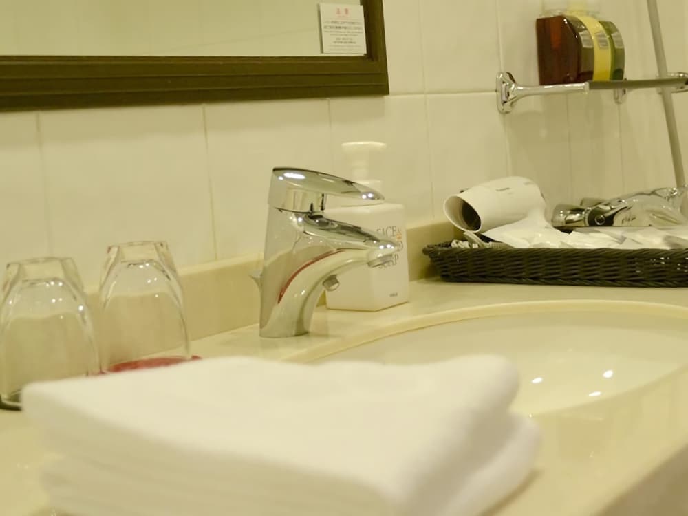 Ibis Styles Sapporo 24/61