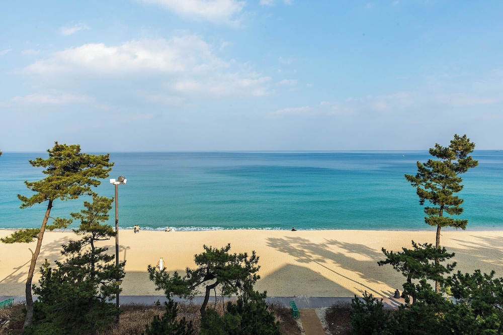 Gyeongpo Soo Hotel 59/68