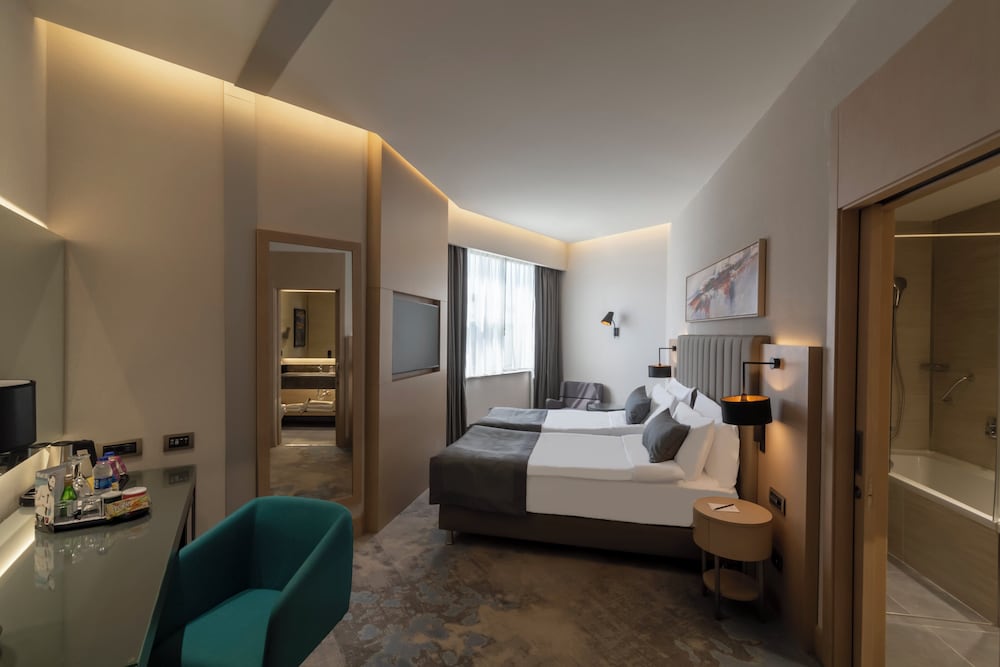 Standard, King Bed, Smoking, Accessible