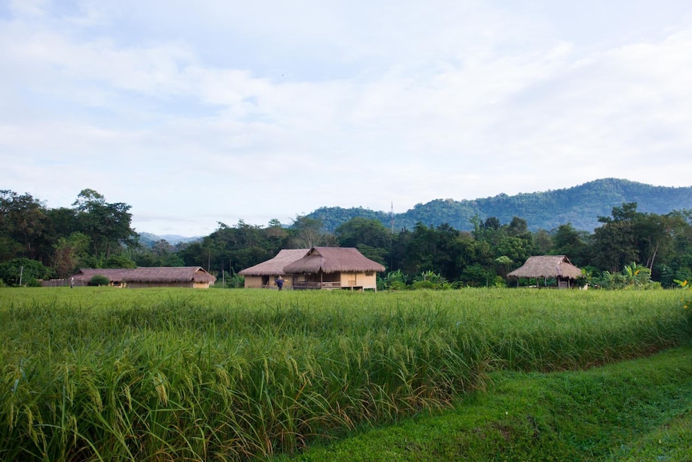 Lisu Lodge 27/37
