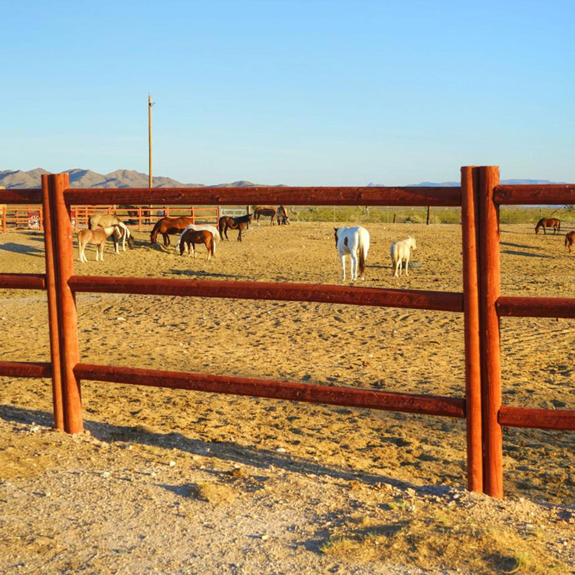 Stagecoach Trails Guest Ranch 45/50