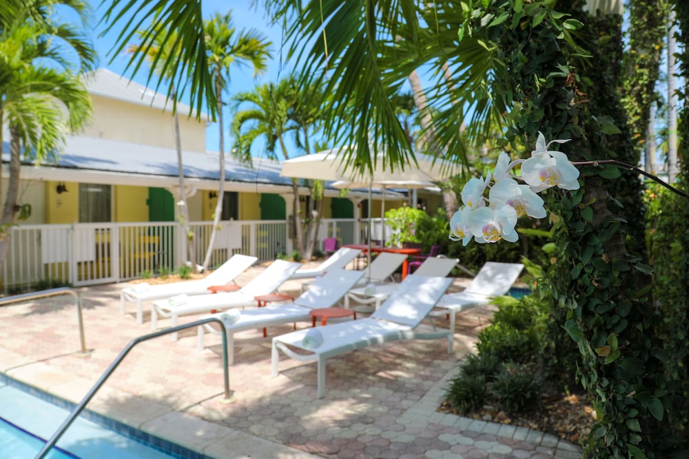 Almond Tree Inn 54/67