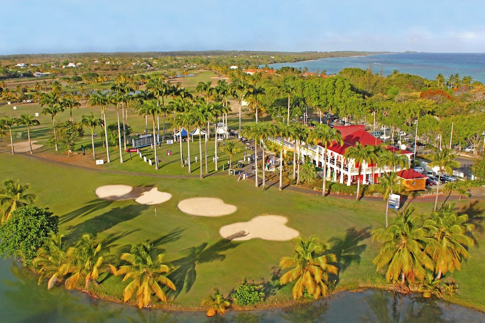 Majesty Palm 42/46
