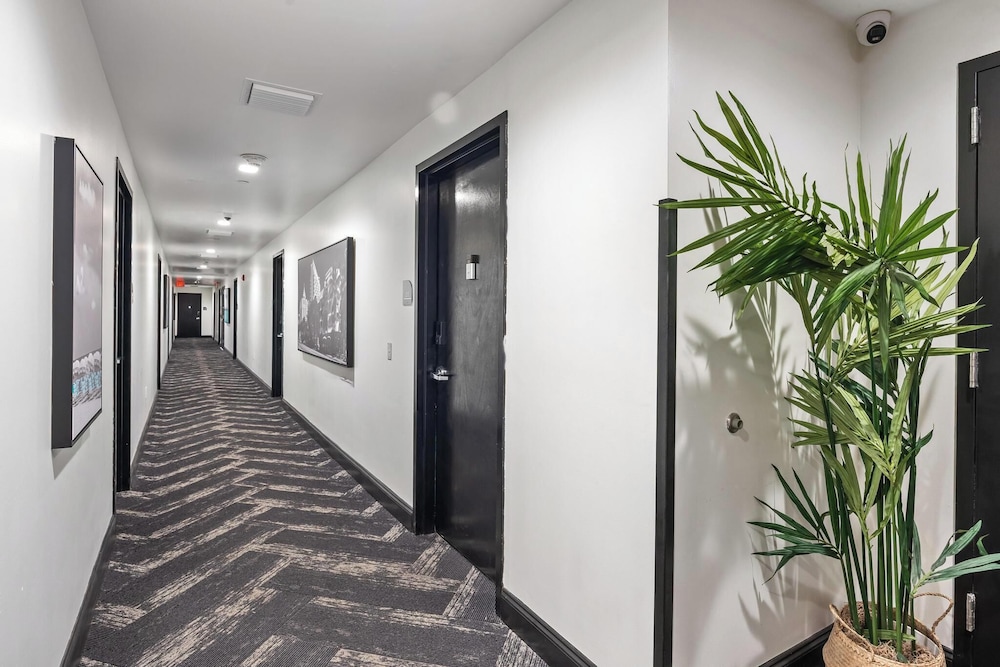 Luxuri Suites 2/50