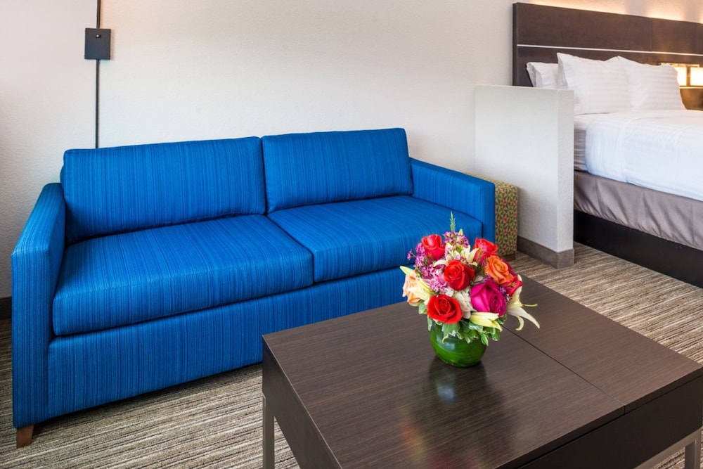 Holiday Inn Express Suites Tampa North Wesley Chapel 43/62