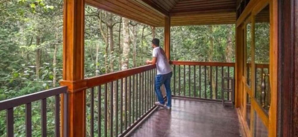 Wild Planet Jungle Resort 24/50