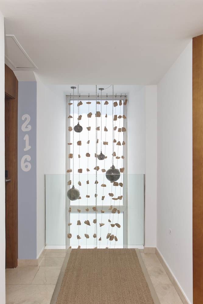 Apartamentos Castavi 31/63