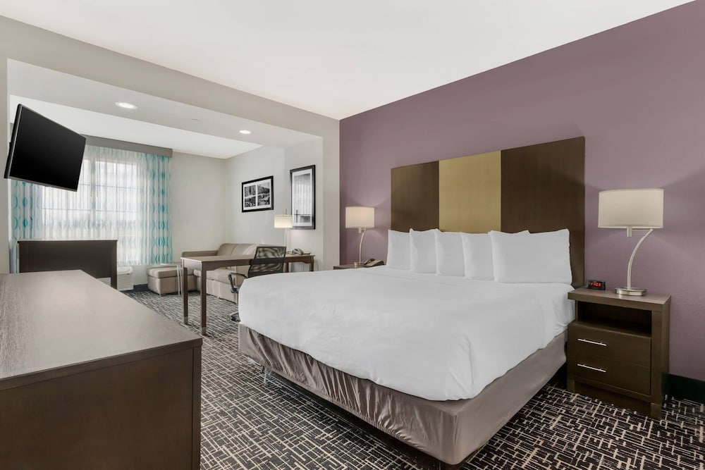 Suite, King Bed