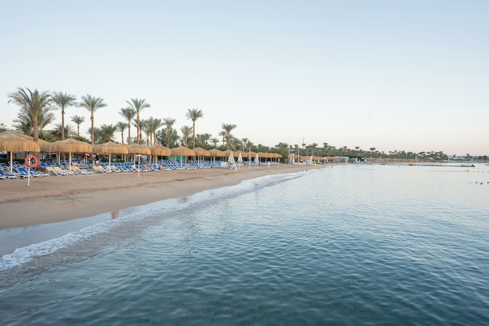 surroundings