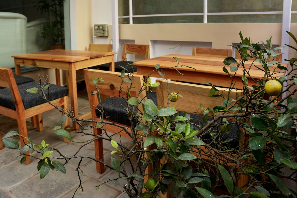 Lemon Tree Hotel 38/44